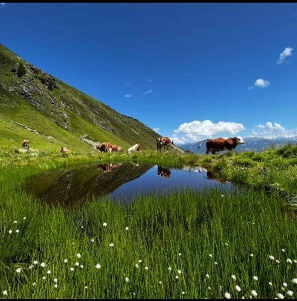 Das Zauberhaft Mayrhofen Εξωτερικό φωτογραφία